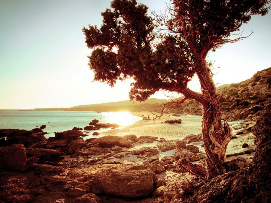 №715664 - пляж, пейзаж, деревья, море - оригинал