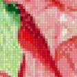 Предпросмотр схемы вышивки «пуансеттия» (№715702)