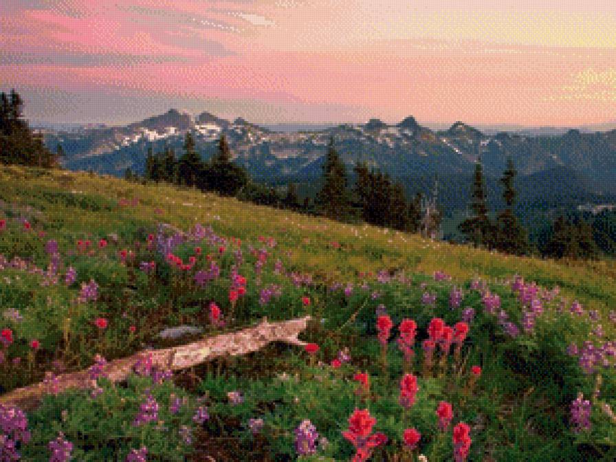 №715819 - природа - предпросмотр