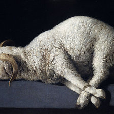 Схема вышивки «Francisco de Zurbarán, Agnus Dei, c.1635-40»