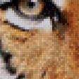 Предпросмотр схемы вышивки «тигр» (№716195)