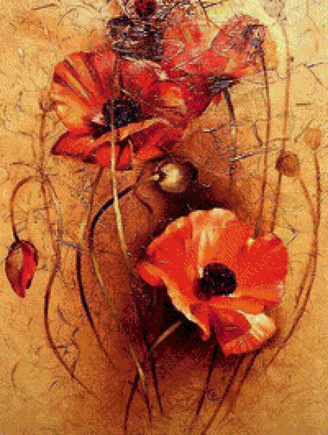 маки - цветы букет маки - предпросмотр