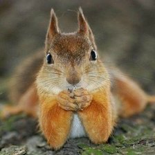 Схема вышивки «малыш»