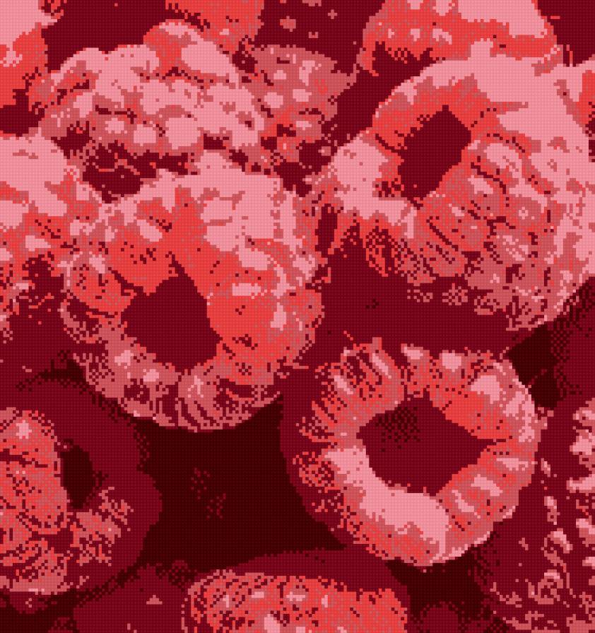 Малина - фрукты - предпросмотр