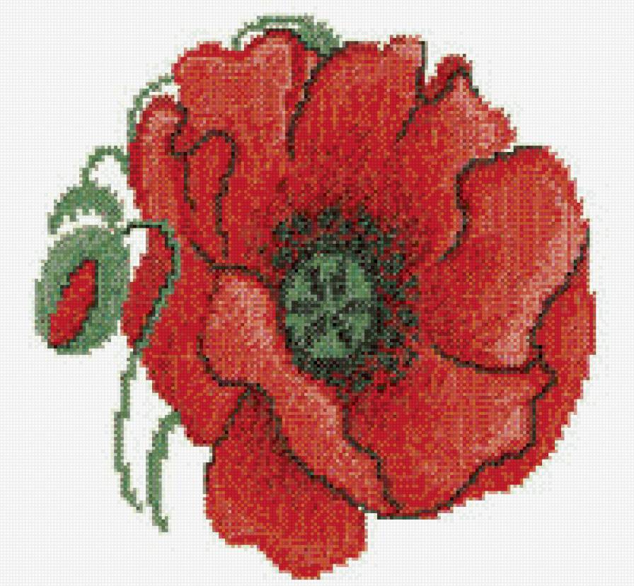 poppy - poppy, red, flowers - предпросмотр