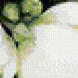 Предпросмотр схемы вышивки «цветы» (№716487)