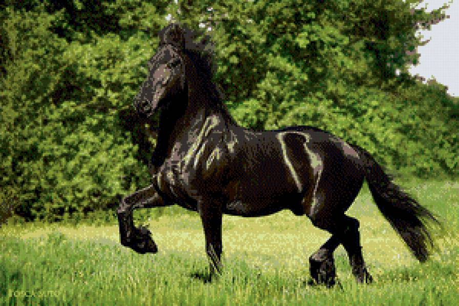 животные - предпросмотр