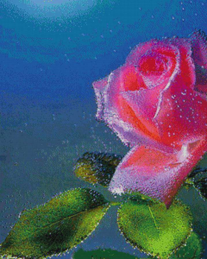 №716592 - вода, роза, цветы - предпросмотр