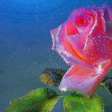 Схема вышивки «№716592»