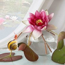 Схема вышивки «№716613»