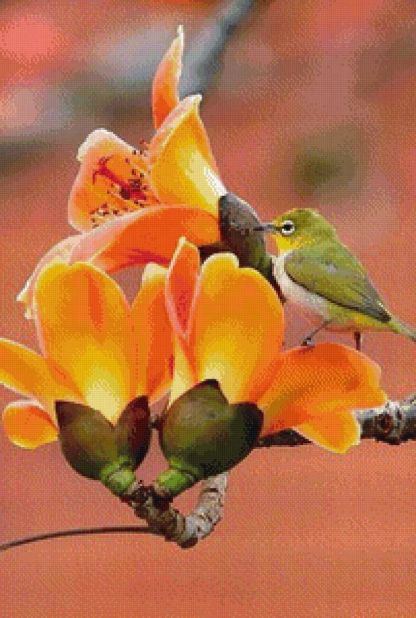 №716628 - птицы, ветка, цветы - предпросмотр