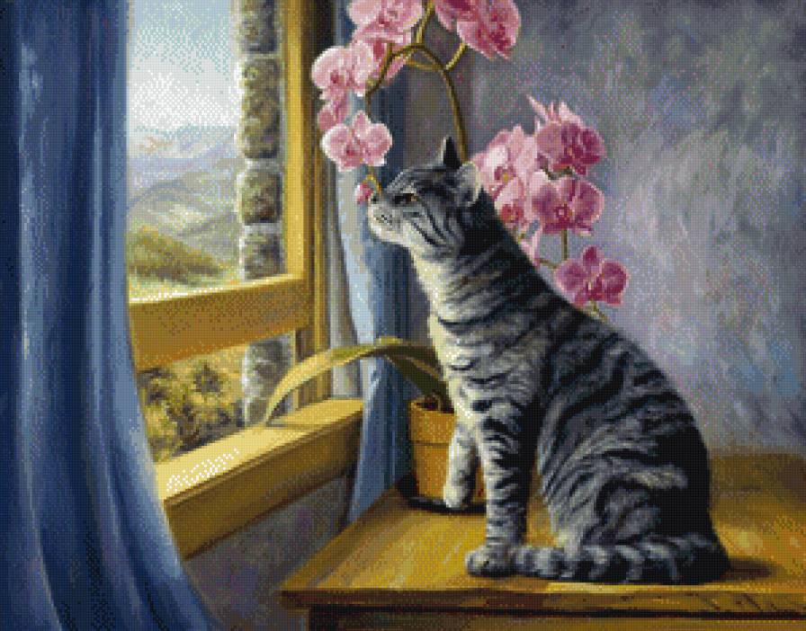 №716631 - цветы, орхидея, картина, кот, окно - предпросмотр