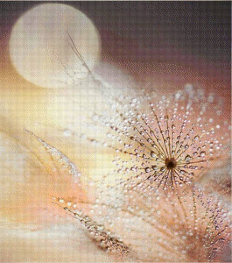 Нежность - одуванчик, роса, нежность - предпросмотр