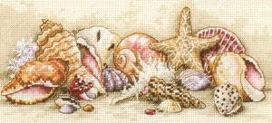 морские ракушки - море, ракушки - оригинал