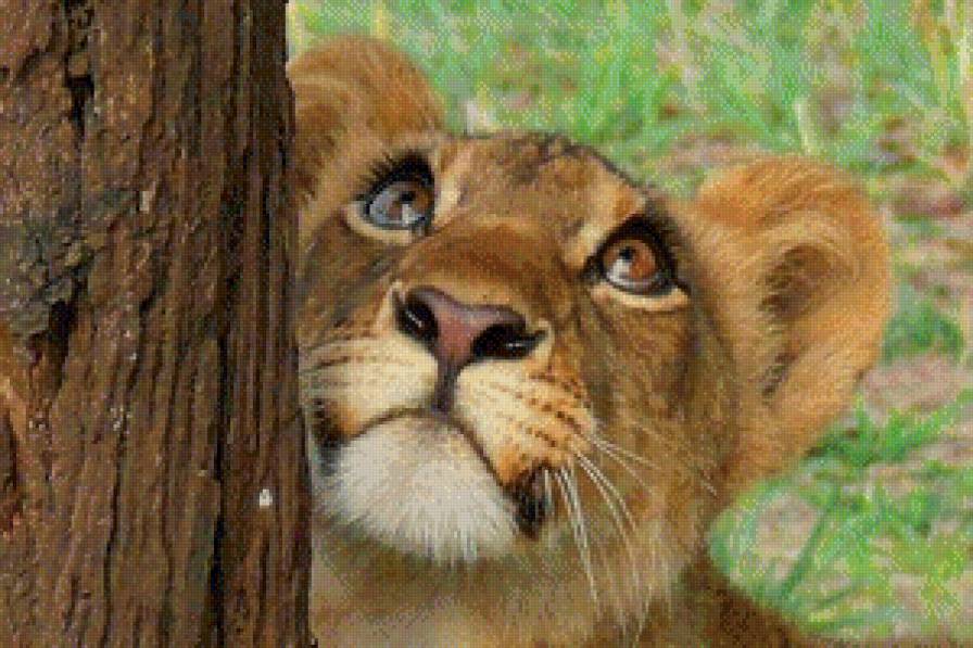 Львенок - лев, милашка, кот - предпросмотр