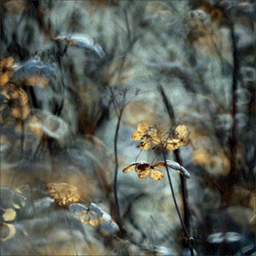 subtelności I - предпросмотр