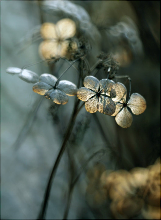 subtelności II - оригинал