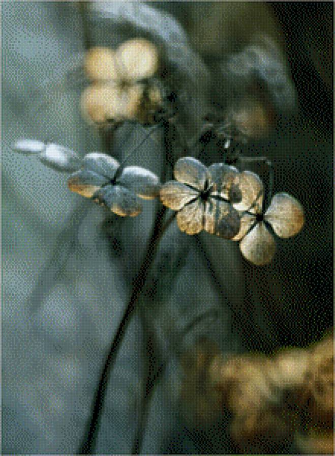 subtelności II - предпросмотр