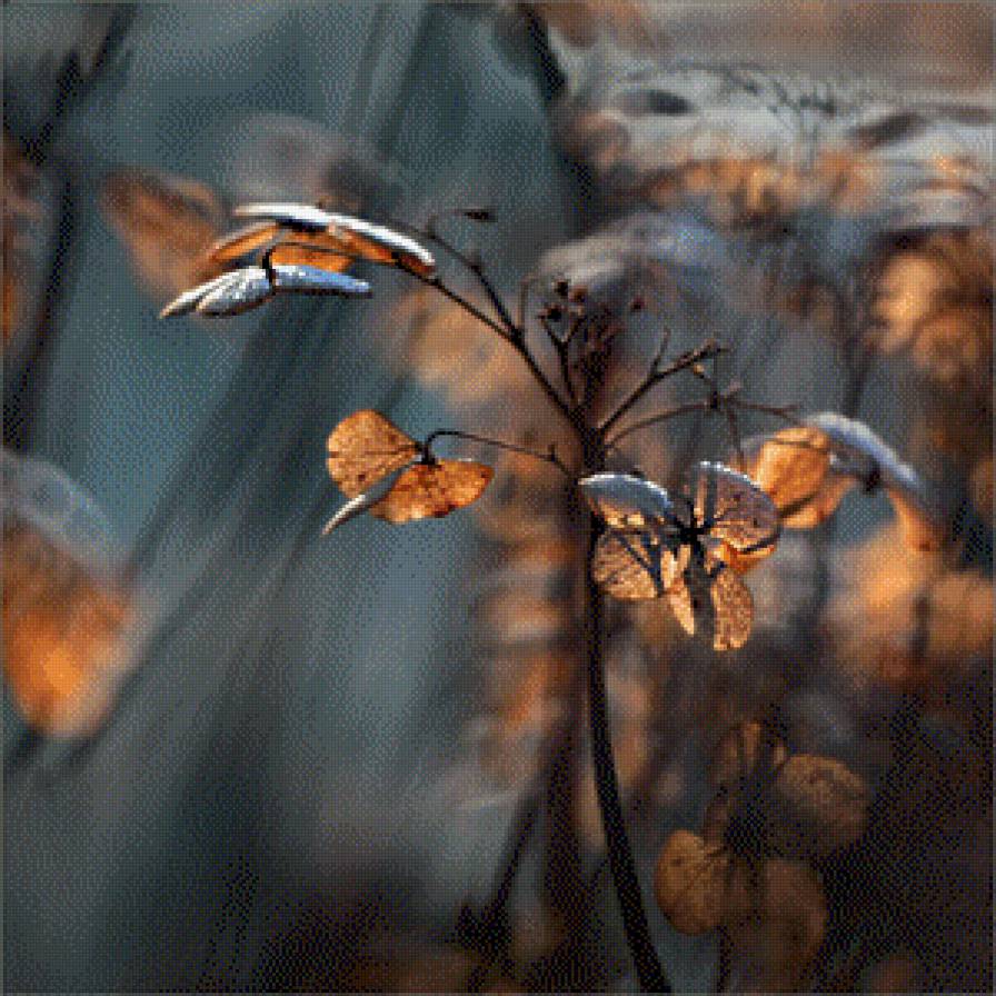 subtelności IV - предпросмотр