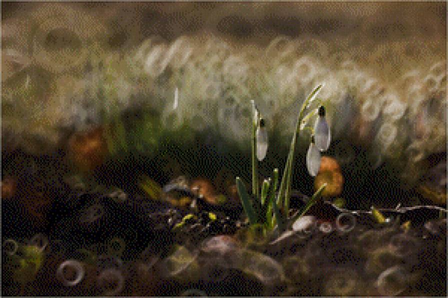 subtelności VII - предпросмотр