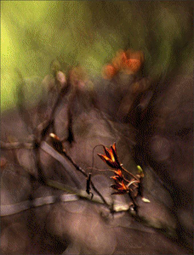 subtelności VIII - предпросмотр