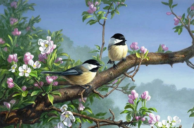 животные - цветы, птицы, пейзаж, природа - оригинал