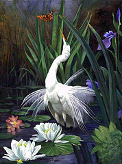 motylek z ptaszkiem - оригинал