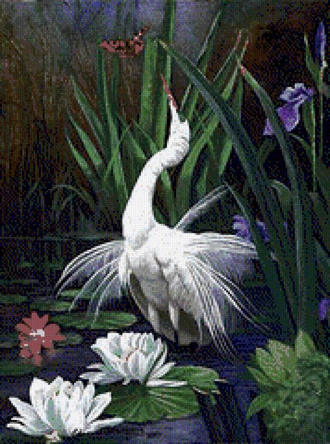 motylek z ptaszkiem - предпросмотр