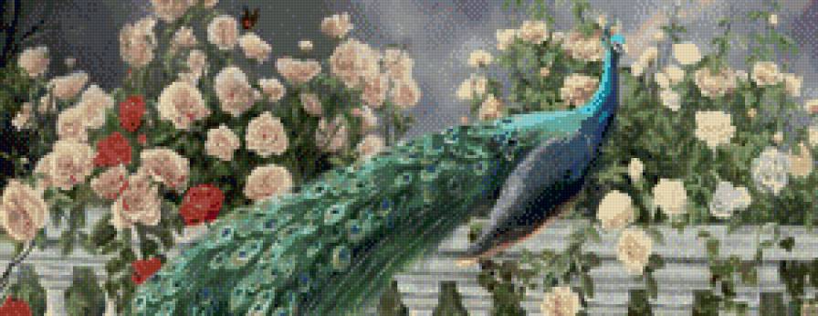 Paw - paw - предпросмотр