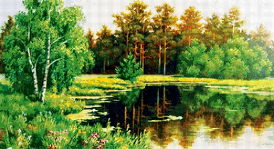 на берегу озера - лес, березы, пейзаж, озеро - предпросмотр