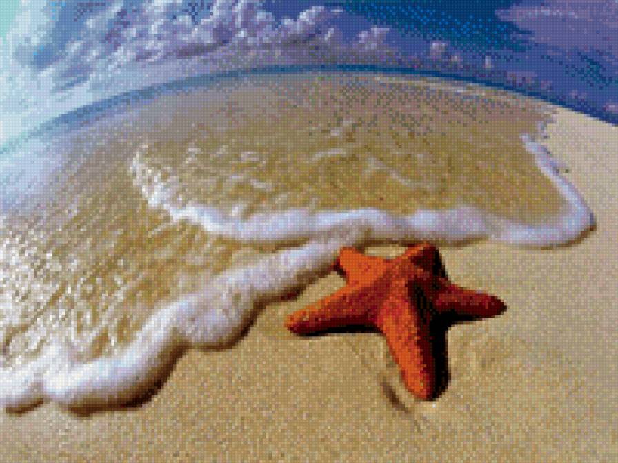 звезда в морской пене - предпросмотр