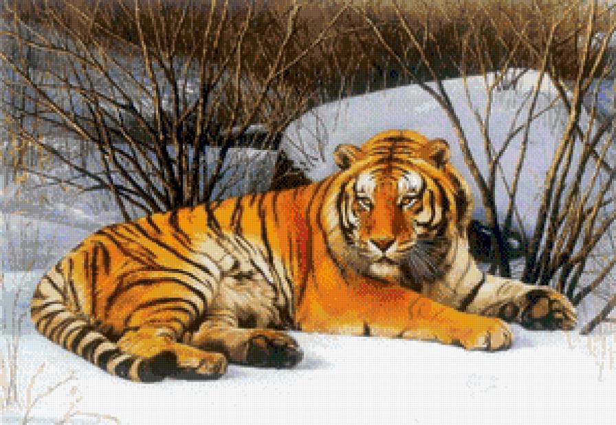 №717355 - предпросмотр