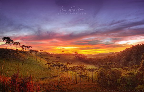 Закат в сафари - закат, небо, сафари - оригинал