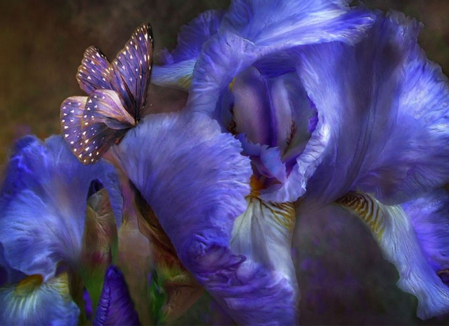 Carol Cavalaris - синий, цветы, ирис - оригинал