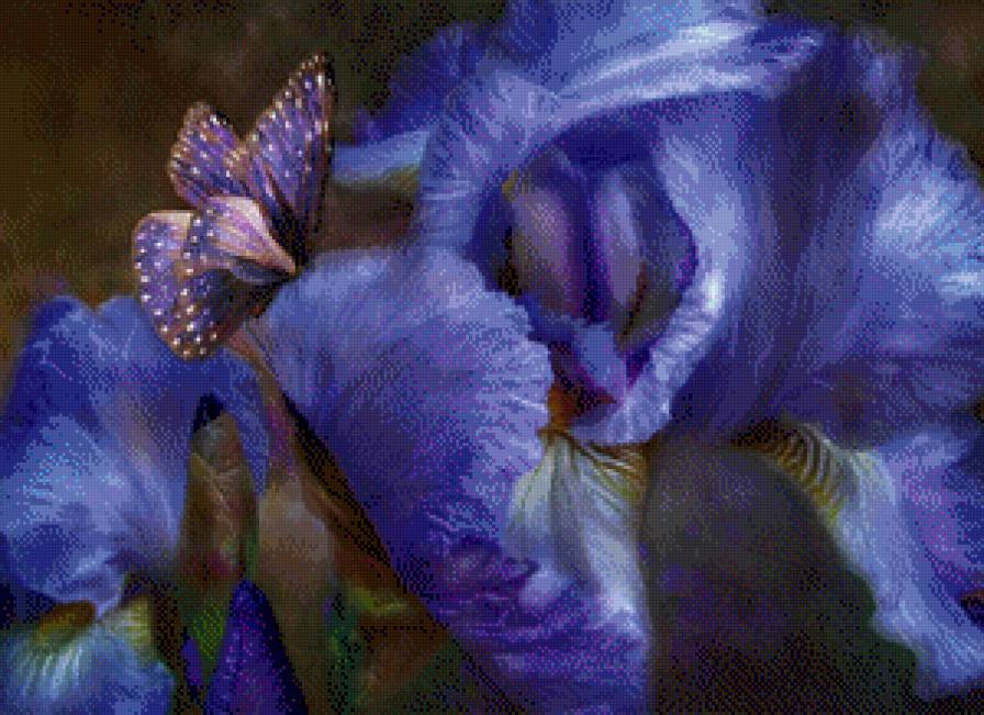 Carol Cavalaris - цветы, синий, ирис - предпросмотр