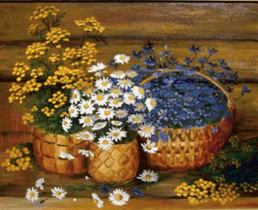 полевые цветы - васильки, цветы, ромашки - предпросмотр