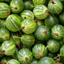 Схема вышивки «крыжовник»