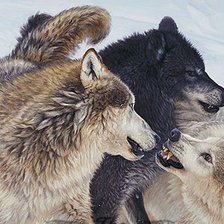 Схема вышивки «№718076»