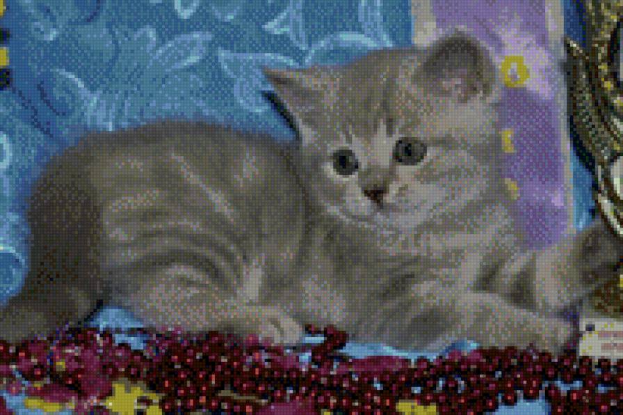 котенок - кошки, животные - предпросмотр