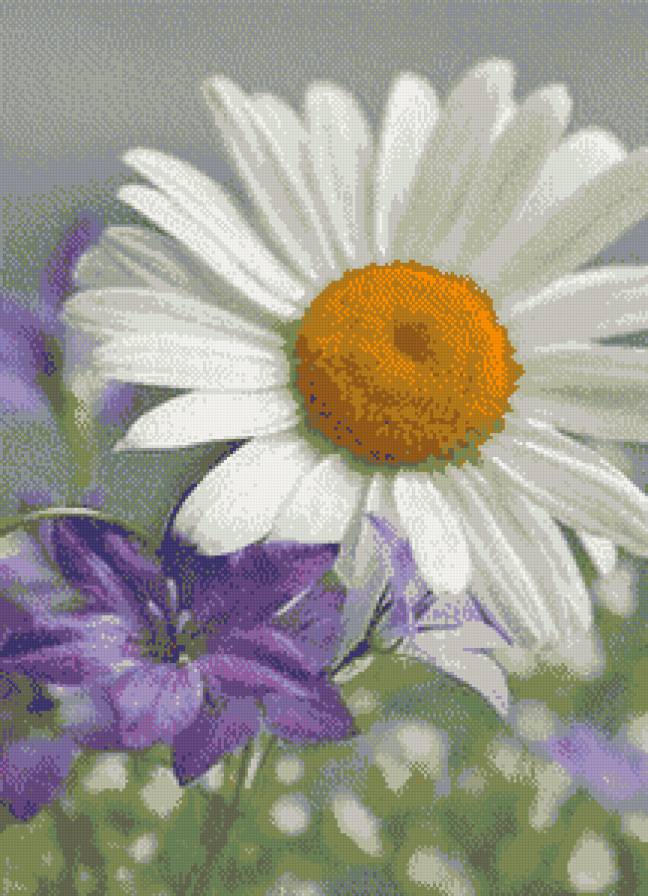 ромашки - предпросмотр