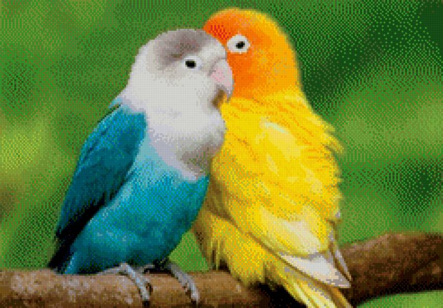 парочка - предпросмотр