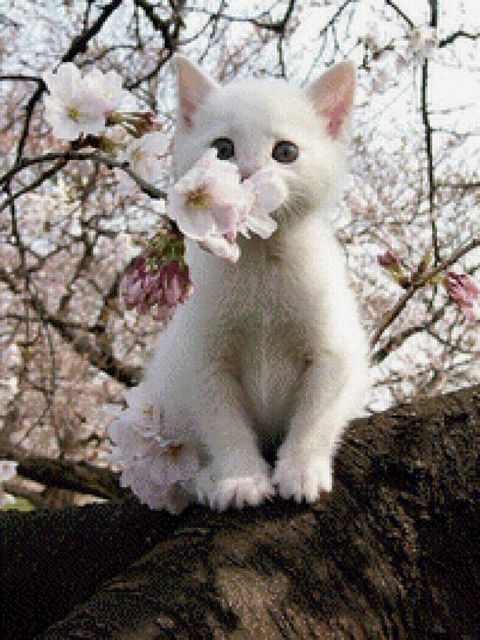 на дереве - котя - предпросмотр