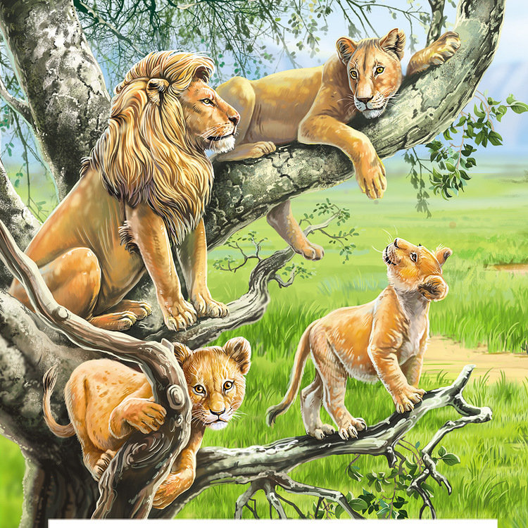львы - хищники, кошки, семья, львица, лев, львы, львенок, животные - оригинал