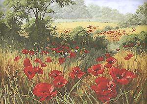 МАКИ - пейзаж, природа - оригинал