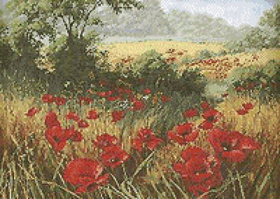 МАКИ - пейзаж, природа - предпросмотр