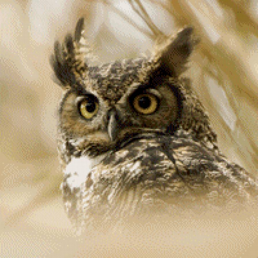 ФИЛИН - животные, птицы - предпросмотр