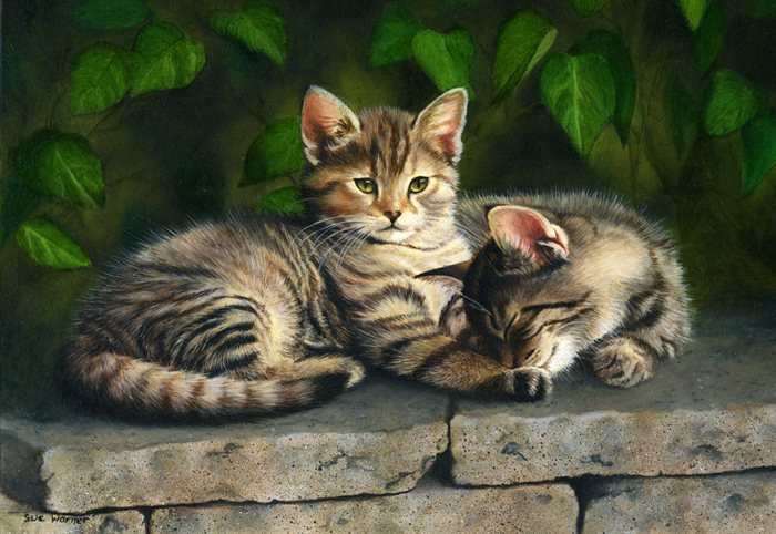 Котята-милашки - мир животных (кошки) - оригинал