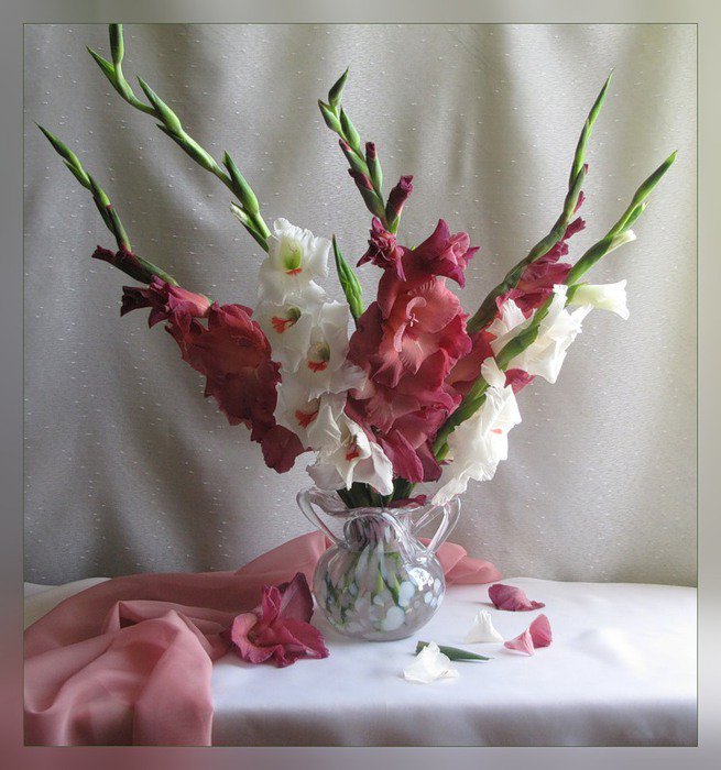 натюрморт с гладиолусами - гладиолусы, натюрморт - оригинал