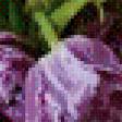 Предпросмотр схемы вышивки «тюльпаны» (№718683)