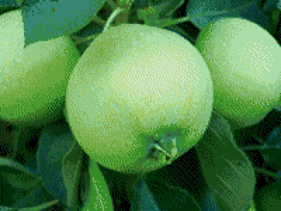 яблоко - фрукты - предпросмотр